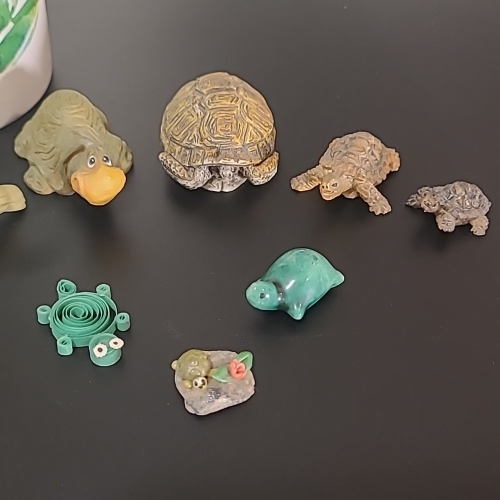 Mini Turtle Collection - Picture 3 of 6